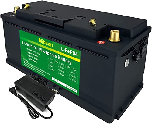 Batería de litio para coche LiFePO4 12 V 100Ah ideal para...